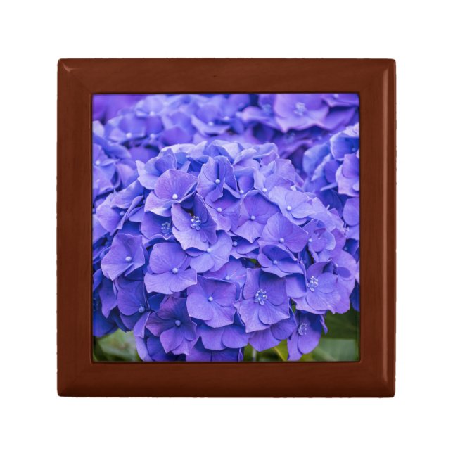 Pretty Bluish Purple Summer Hydrangeas Gift Box (Front)