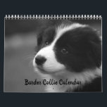 Pretty Border Collie Dog Calendar<br><div class="desc">The perfect gift this Christmas for any border collie dog lover. Featuring beautiful photos of a border collie throughout the year to bring a smile to anyone's face month on month. All images exclusive to Zazzle ©</div>
