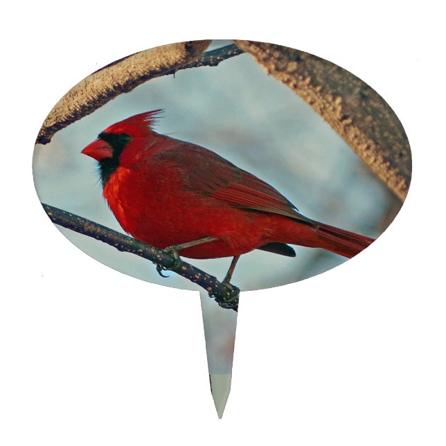 Pretty Boy Male Cardinal Cake Topper (Front)