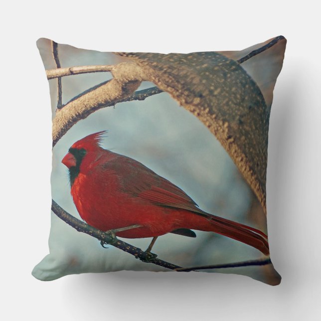 Pretty Boy Male Cardinal Throw Pillow (Front)