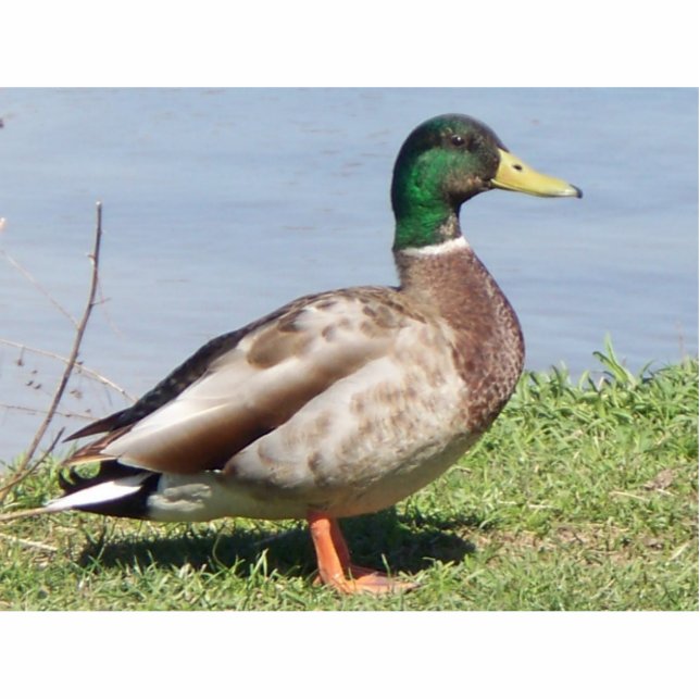 Pretty Boy Statuette (Front)