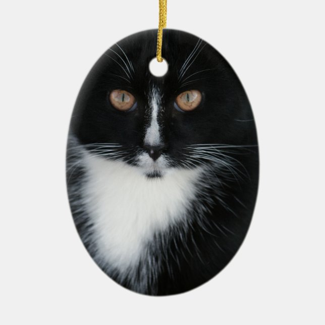 Pretty Boy Tuxedo Kitty Ceramic Ornament (Front)