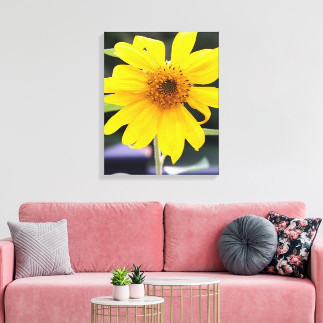 Pretty Bright Yellow Sunflower Close-up  Canvas Print (Insitu(LivingRoom))