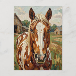 Pretty Brown and White Horse Keeping in Touch Postcard