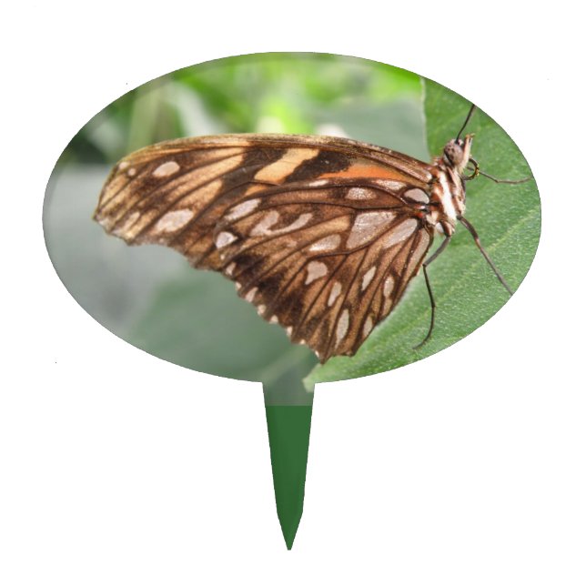 Pretty Brown Butterfly Cake Pick (Front)