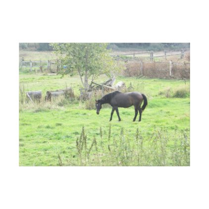 Pretty Brown Horse in the Pasture Photo Wall Art