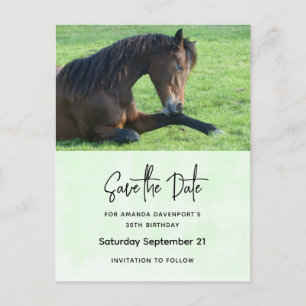 Pretty Brown Horse Laying Down Save the Date Invitation Postcard
