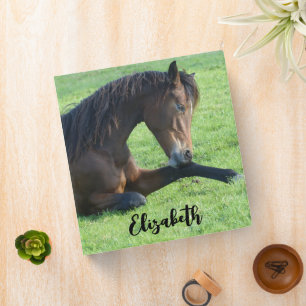 Pretty Brown Horse Laying in the Grass 3 Ring Binder