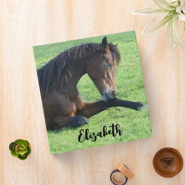 Pretty Brown Horse Laying in the Grass 3 Ring Binder (In Situ)