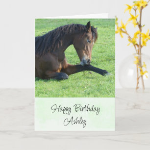 Pretty Brown Horse Laying in the Grass Birthday Card