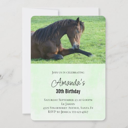 Pretty Brown Horse Laying in the Grass Birthday Invitation