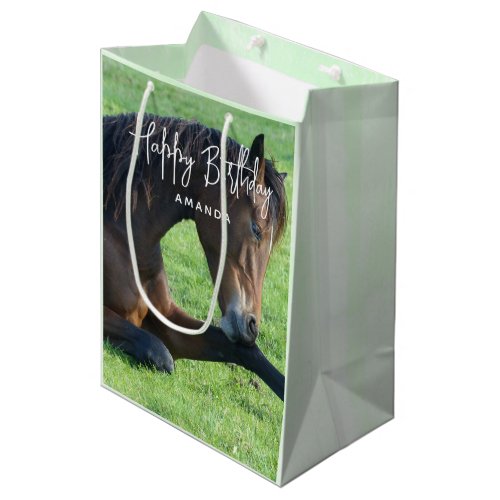 Pretty Brown Horse Laying in the Grass Birthday Medium Gift Bag