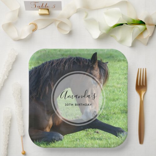Pretty Brown Horse Laying in the Grass Birthday Paper Plates