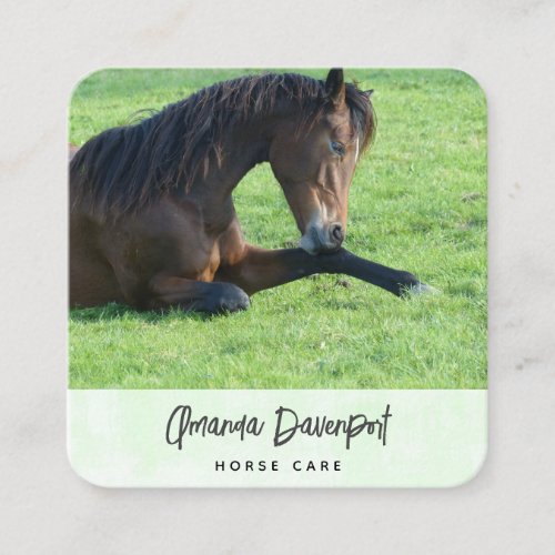 Pretty Brown Horse Laying in the Grass Business Ca Square Business Card
