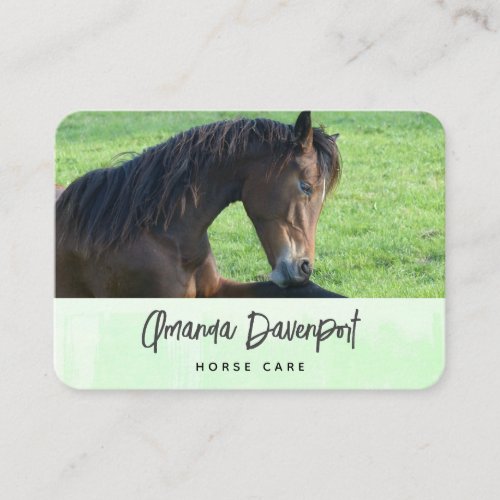 Pretty Brown Horse Laying in the Grass Business Card