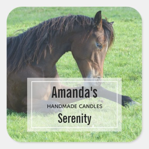 Pretty Brown Horse Laying in the Grass Candle Biz Square Sticker