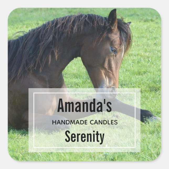 Pretty Brown Horse Laying in the Grass Candle Biz Square Sticker (Front)