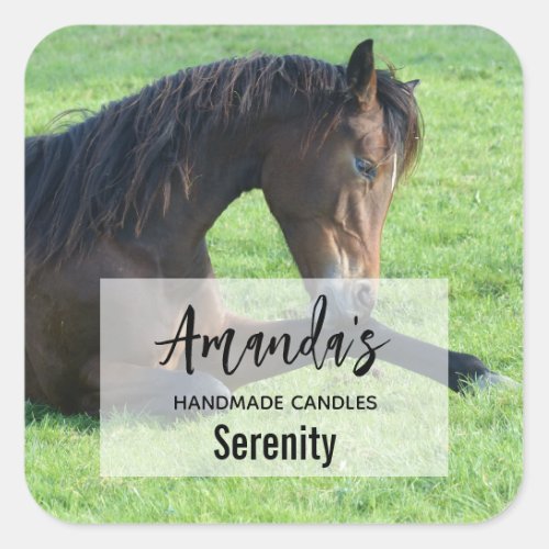 Pretty Brown Horse Laying in the Grass Candle Biz Square Sticker