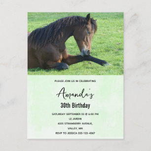 Pretty Brown Horse Laying in the Grass Invitation Postcard