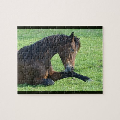 Pretty Brown Horse Laying in the Grass Jigsaw Puzzle