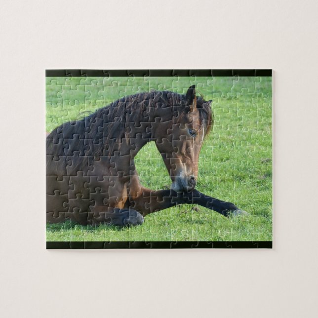 Pretty Brown Horse Laying in the Grass Jigsaw Puzzle (Horizontal)