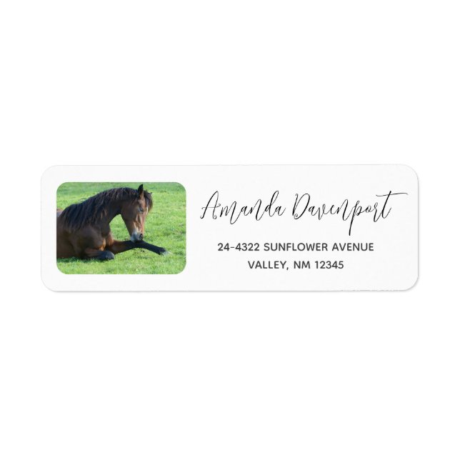 Pretty Brown Horse Laying in the Grass Label (Front)