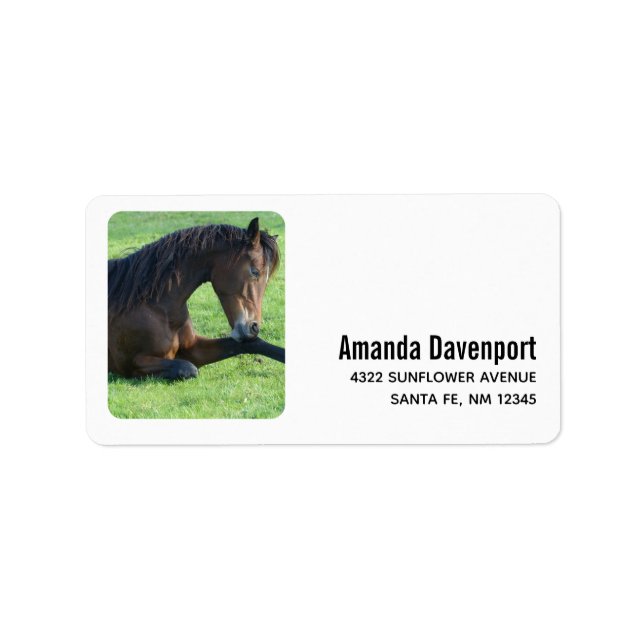Pretty Brown Horse Laying in the Grass Label (Front)