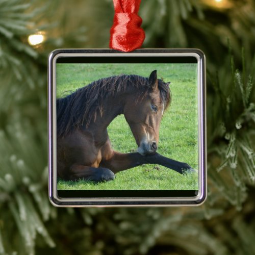 Pretty Brown Horse Laying in the Grass Metal Ornament