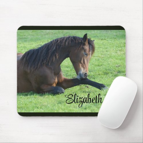 Pretty Brown Horse Laying in the Grass Mouse Pad