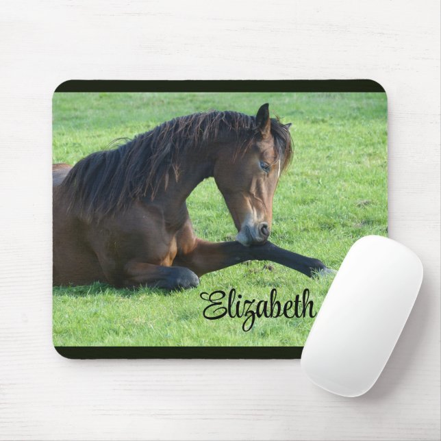 Pretty Brown Horse Laying in the Grass Mouse Pad (With Mouse)
