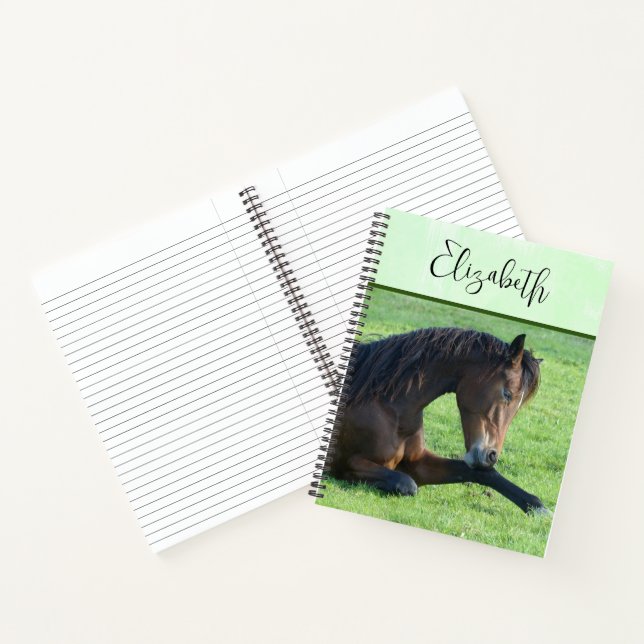 Pretty Brown Horse Laying in the Grass Notebook (Inside)