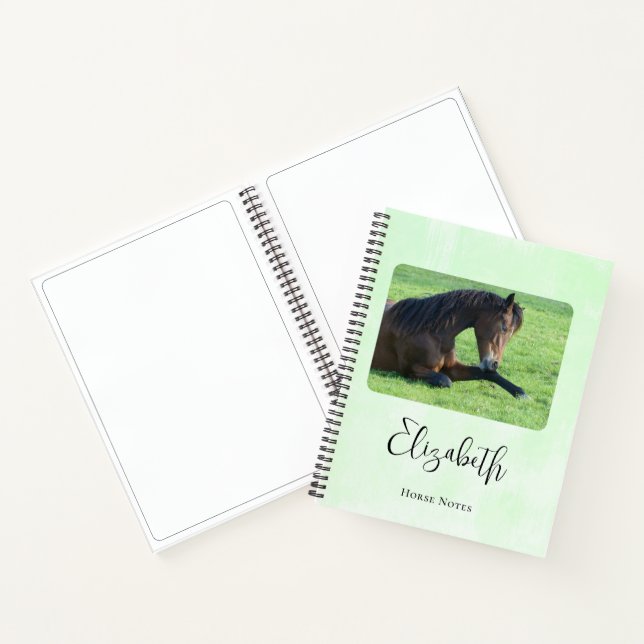 Pretty Brown Horse Laying in the Grass Notebook (Inside)