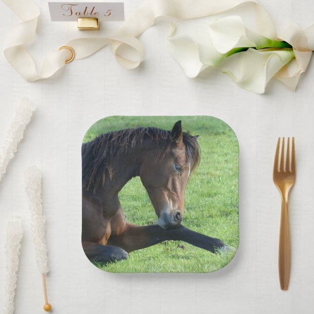 Pretty Brown Horse Laying in the Grass Paper Plates (Wedding)