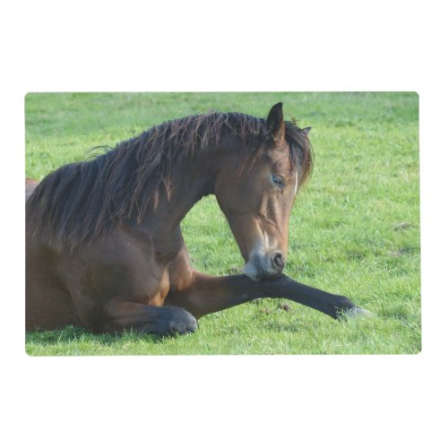 Pretty Brown Horse Laying in the Grass Placemat
