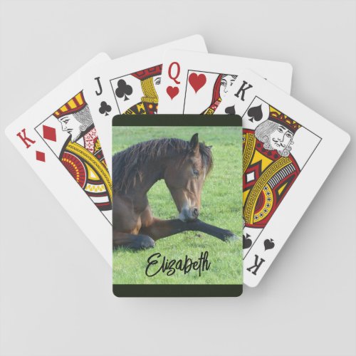 Pretty Brown Horse Laying in the Grass Playing Cards