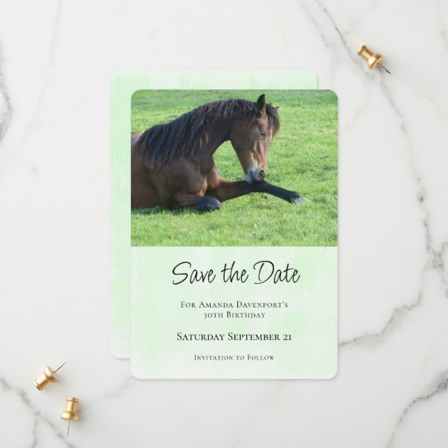 Pretty Brown Horse Laying in the Grass Save The Date (Front/Back In Situ)