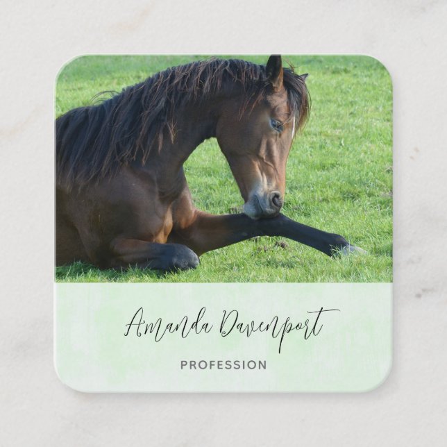 Pretty Brown Horse Laying in the Grass Square Business Card (Front)