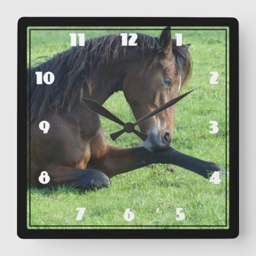 Pretty Brown Horse Laying in the Grass Square Wall Clock