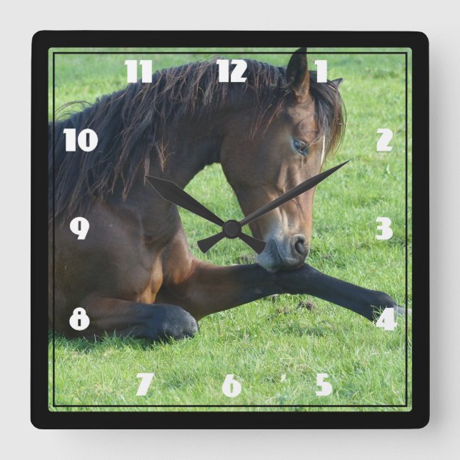 Pretty Brown Horse Laying in the Grass Square Wall Clock (Front)