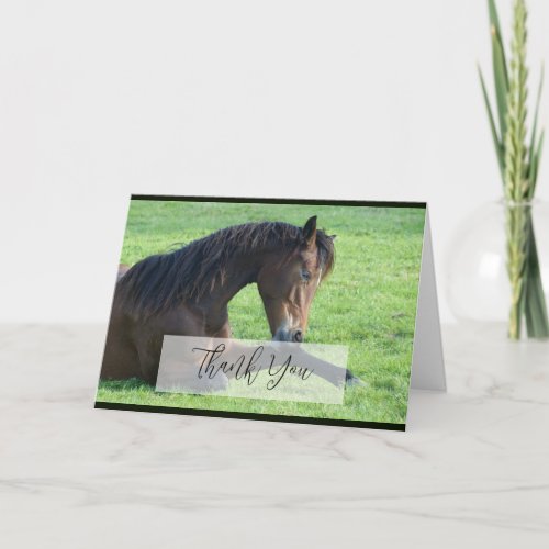 Pretty Brown Horse Laying in the Grass Thank You Card