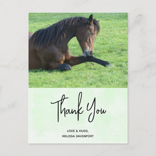 Pretty Brown Horse Laying in the Grass Thank You Postcard