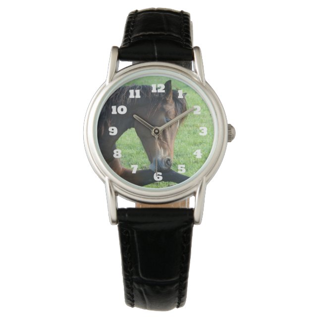 Pretty Brown Horse Laying in the Grass Watch (Front)