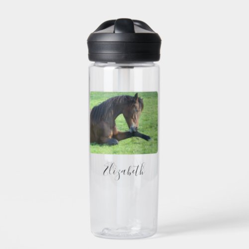 Pretty Brown Horse Laying in the Grass Water Bottle