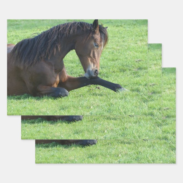 Pretty Brown Horse Laying in the Grass Wrapping Paper Sheets (Set)