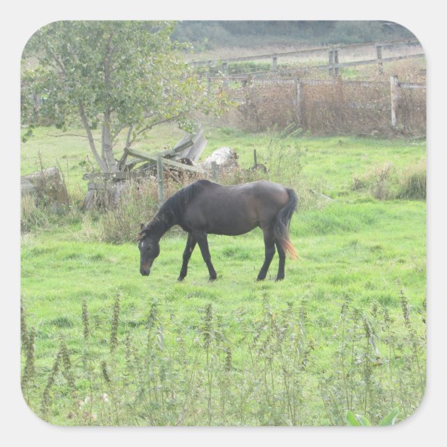 Pretty Brown Horse out at Pasture Farm Stickers (Front)