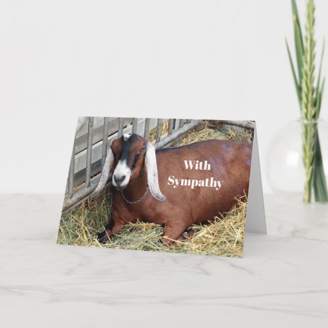 Pretty Brown Nubian Goat Photo Sympathy Card (Front)