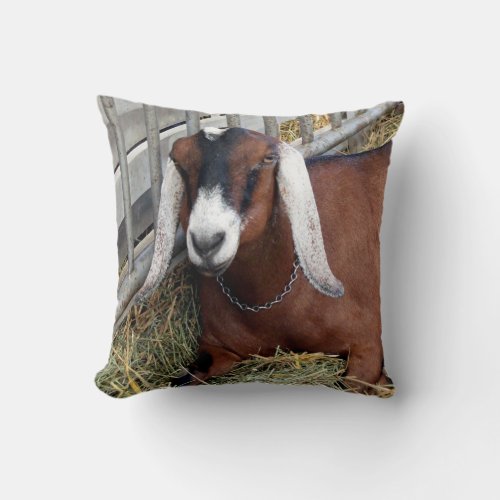 Pretty Brown Nubian Goat Photo Throw Pillow