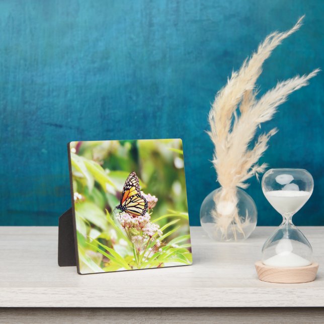 Pretty Butterfly Art  Plaque (Insitu)
