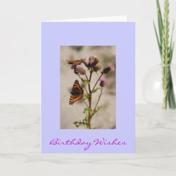 Pretty Butterfly Birthday Card by pulsDesign at Zazzle