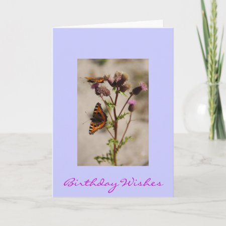 Pretty Butterfly Birthday Card